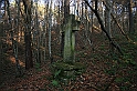 Rostoczek 11.2008 419